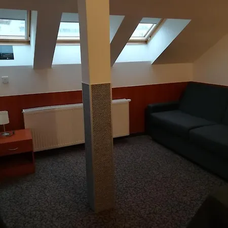 ズラタ ヴァハ ホテル 3*