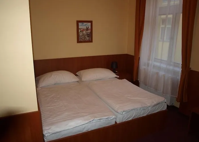 호텔 즐라타 바하 3*