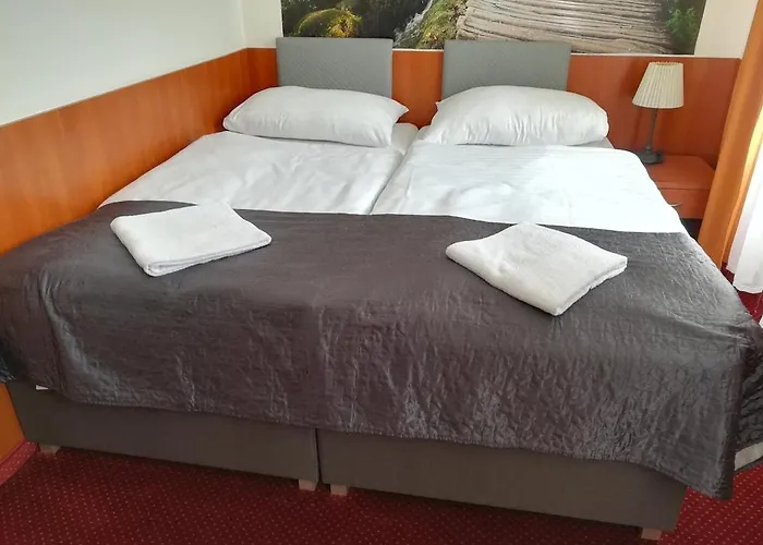 호텔 즐라타 바하