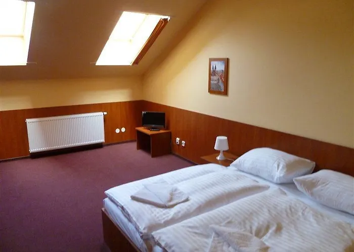 호텔 즐라타 바하 3*